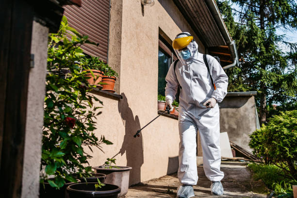 Best Pest Control for Businesses  in Elk Plain, WA