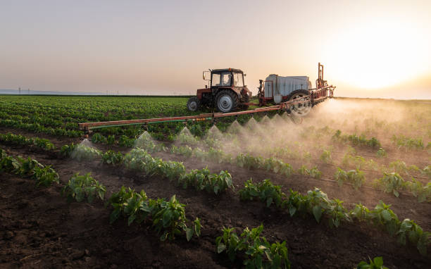 Pest Prevention Services in Elk Plain, WA