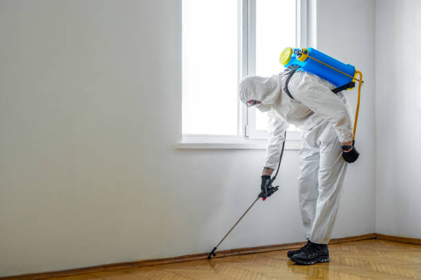 Best Local Pest Control Services  in Elk Plain, WA
