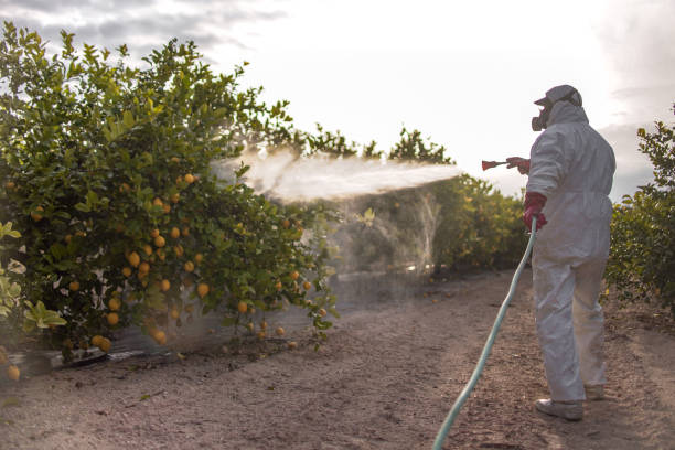 Trusted Elk Plain, WA Pest Control Experts